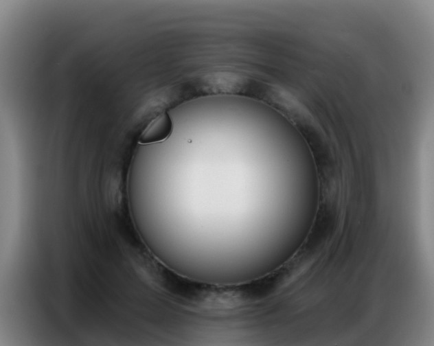 X0000086800599200704201905