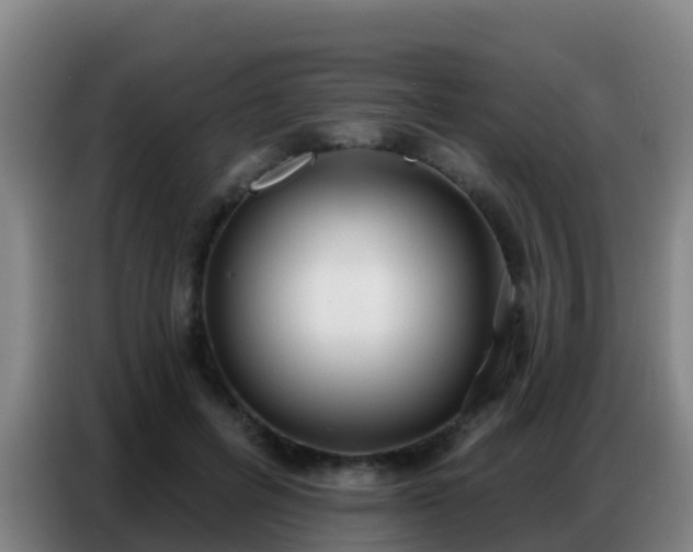X0000086800600200704201905