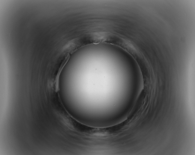 X0000086800601200704201905