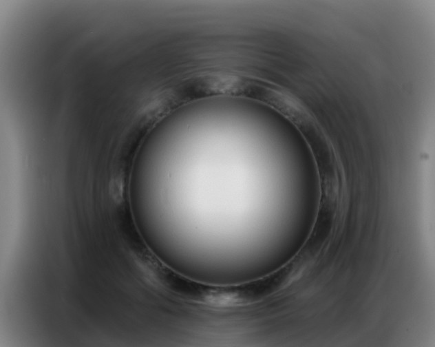 X0000086800602200704201905