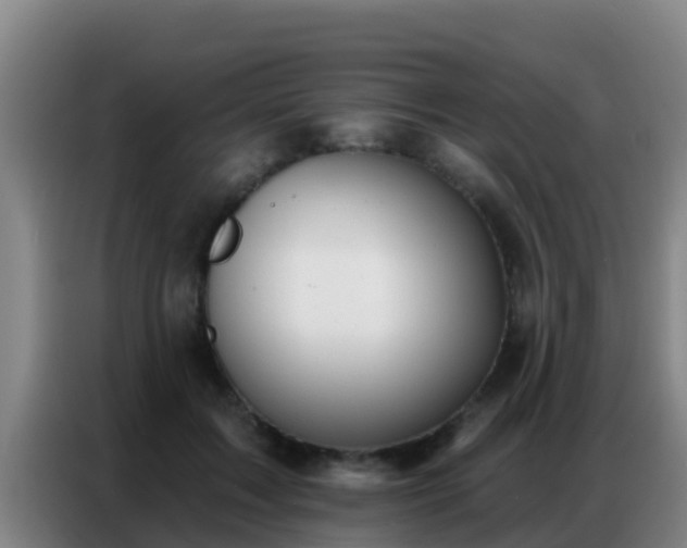 X0000086800603200704201905