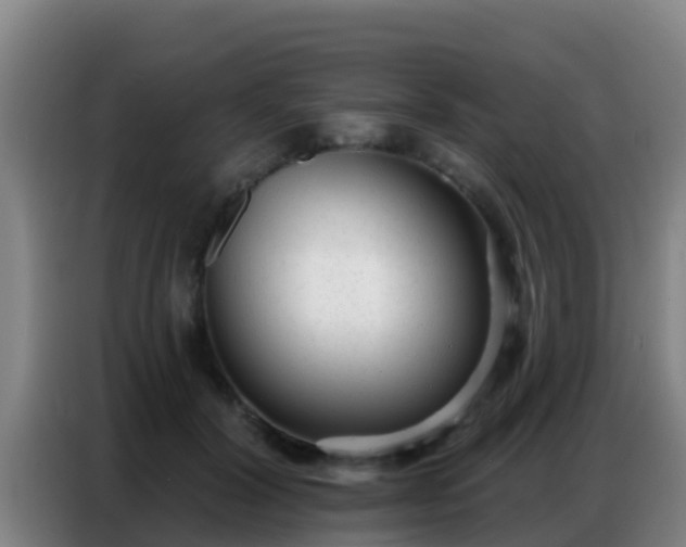 X0000086800604200704201905