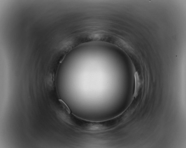 X0000086800605200704201905