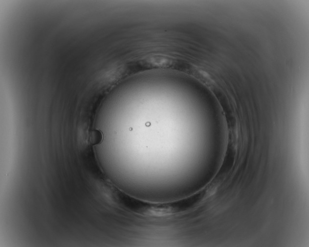 X0000086800606200704201905