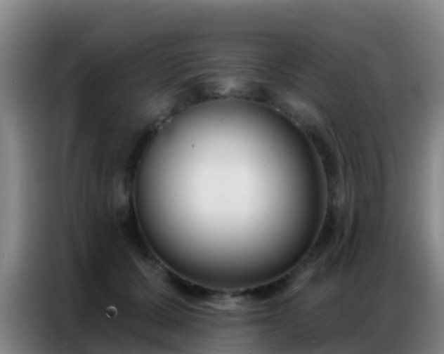 X0000086800607200704201905