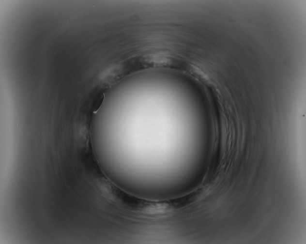 X0000086800609200704201905