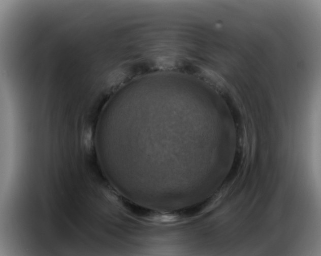 X0000086800610200704201905
