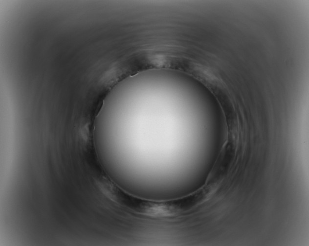 X0000086800611200704201905