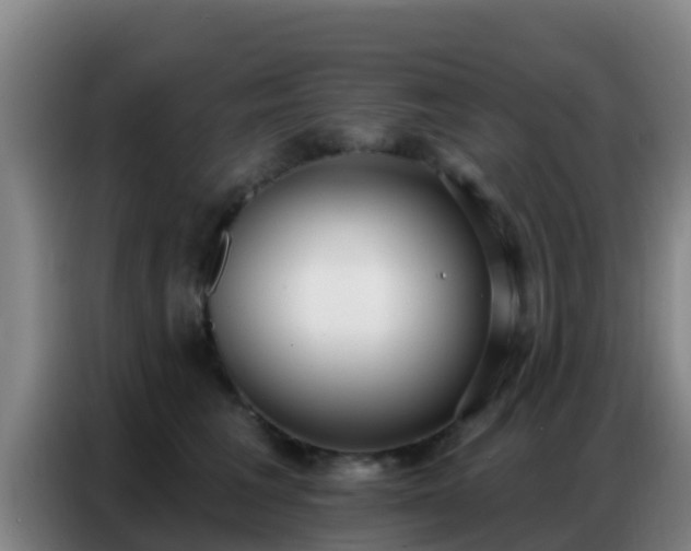 X0000086800613200704201905