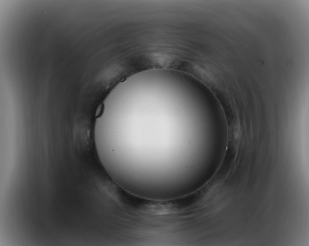 X0000086800615200704201905