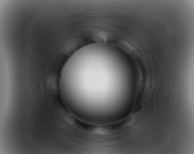 X0000086800616200704201905