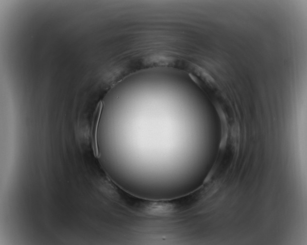 X0000086800617200704201905
