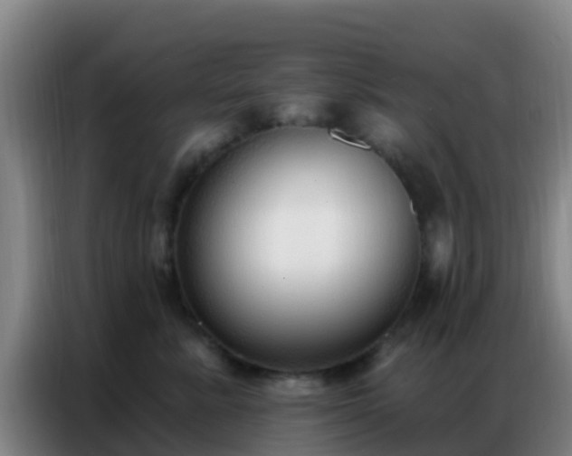 X0000086800619200704201905