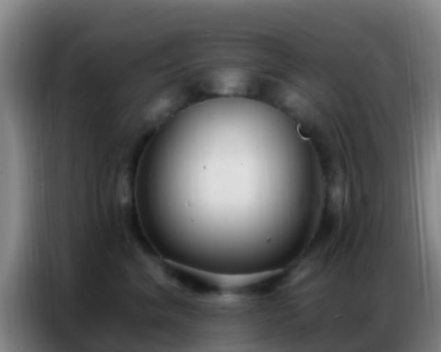 X0000086800620200704201905