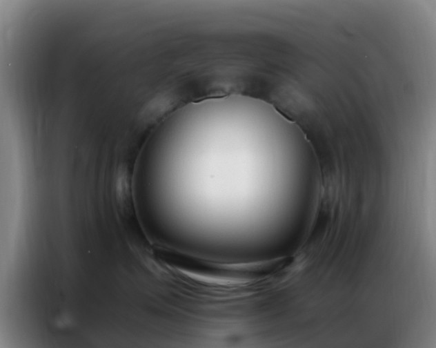 X0000086800623200704201904