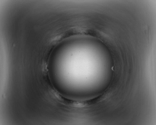 X0000086800624200704201904