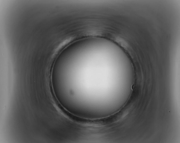 X0000086800625200704201904