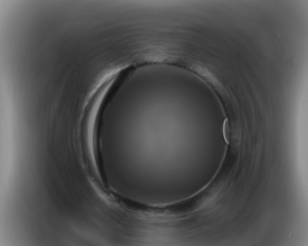 X0000086800626200704201904