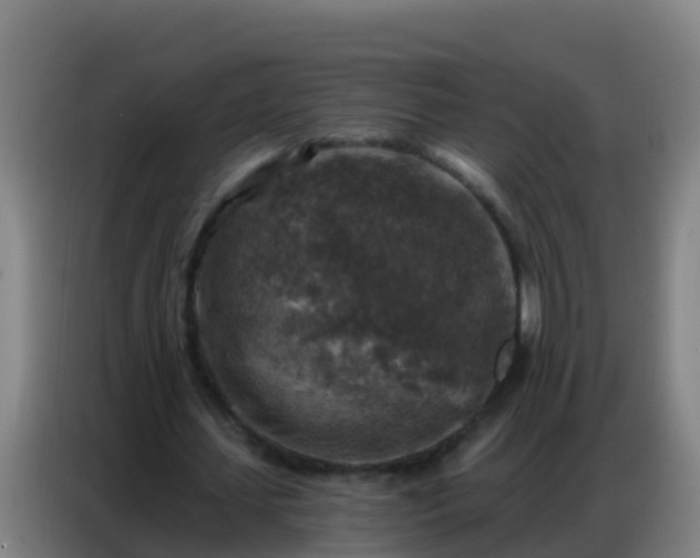 X0000086800627200704201904