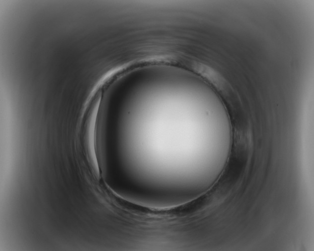 X0000086800628200704201904