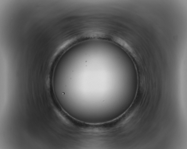 X0000086800629200704201904