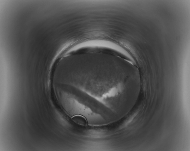 X0000086800630200704201904