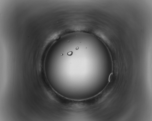 X0000086800631200704201904