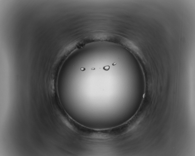 X0000086800633200704201904