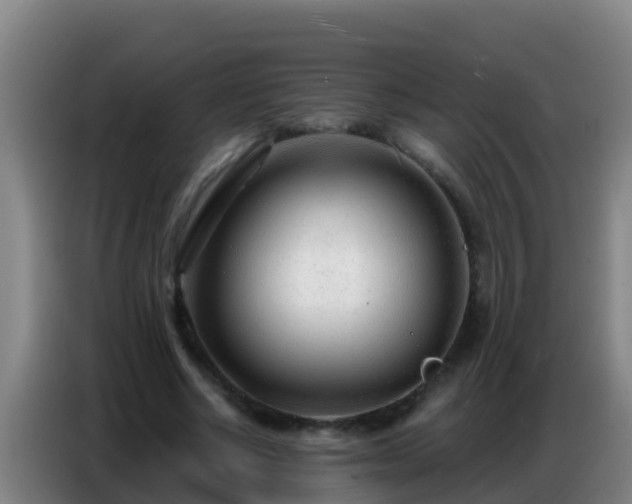 X0000086800634200704201904