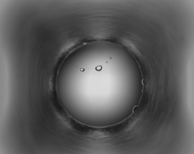 X0000086800635200704201904