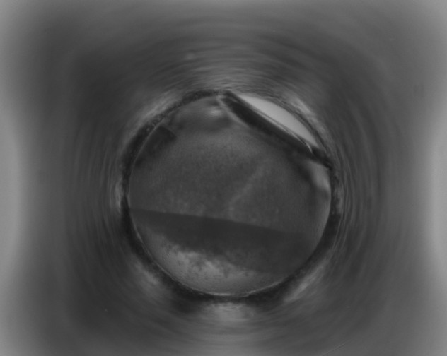 X0000086800637200704201904