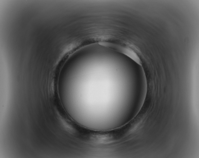 X0000086800638200704201904
