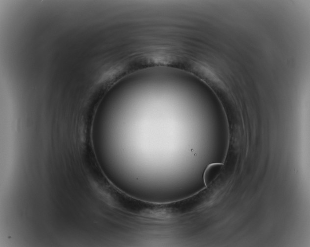 X0000086800639200704201904
