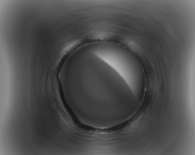 X0000086800640200704201904
