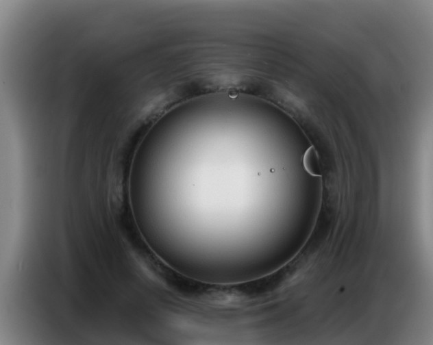 X0000086800642200704201904
