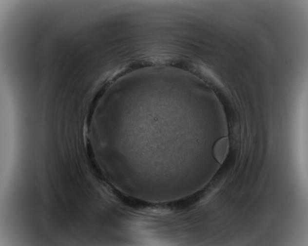 X0000086800644200704201904