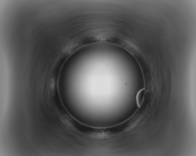 X0000086800646200704201904