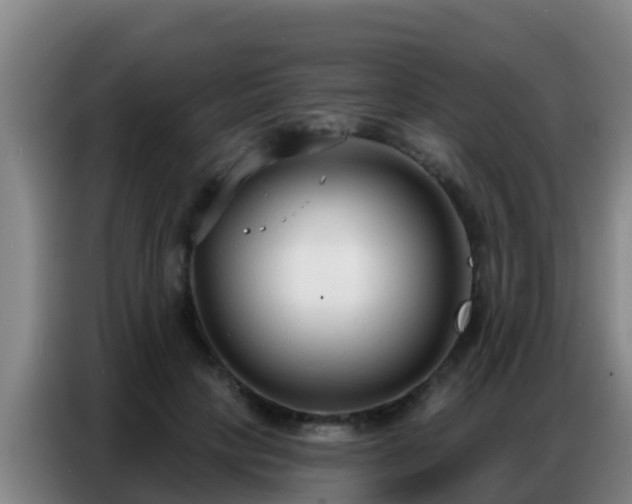 X0000086800649200704201904