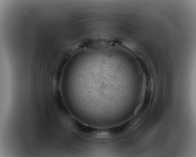 X0000086800651200704201904