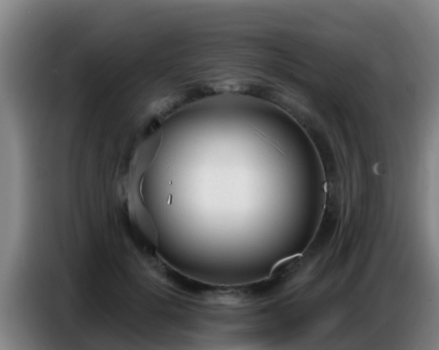 X0000086800652200704201904