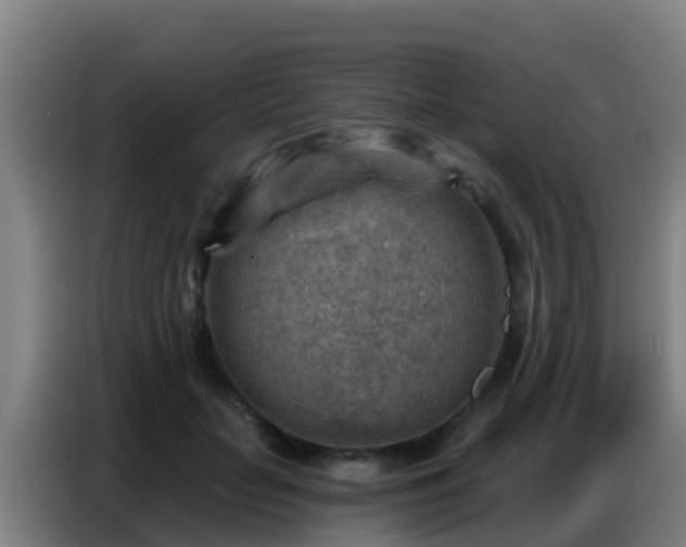 X0000086800653200704201904