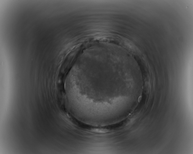 X0000086800654200704201904