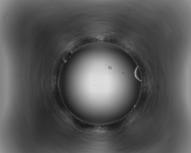 X0000086800656200704201904