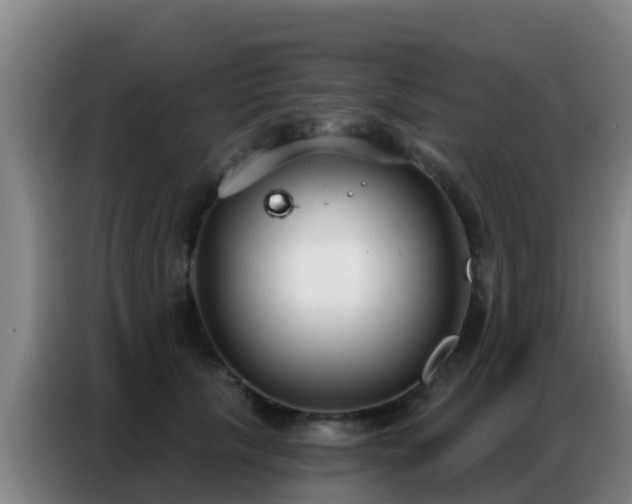 X0000086800657200704201904