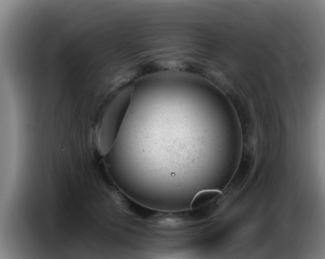 X0000086800658200704201904