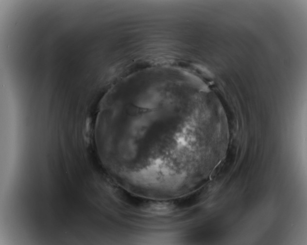 X0000086800659200704201904