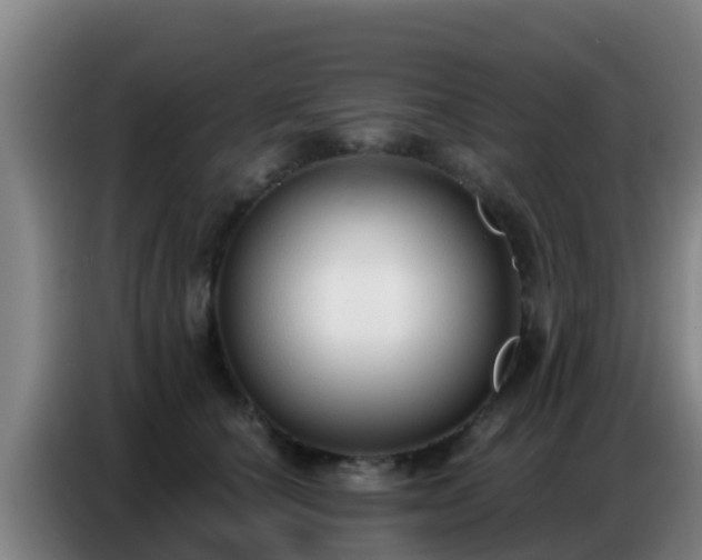 X0000086800660200704201904