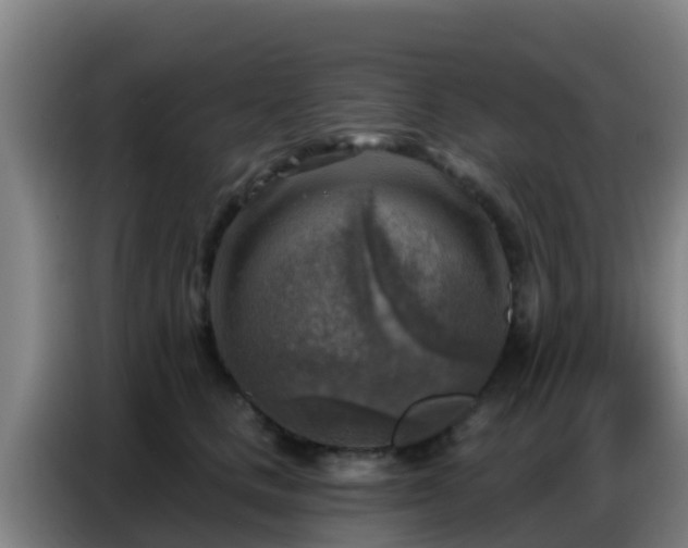 X0000086800661200704201904