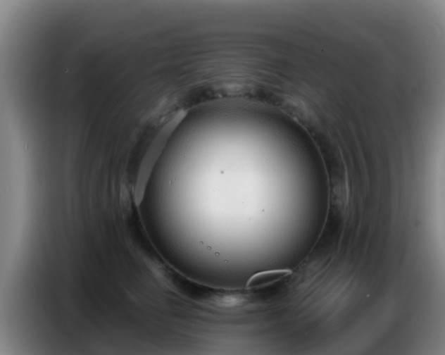 X0000086800662200704201904