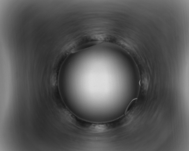 X0000086800665200704201904